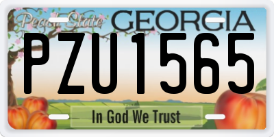 GA license plate PZU1565