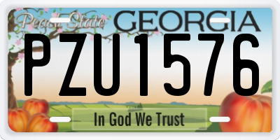 GA license plate PZU1576