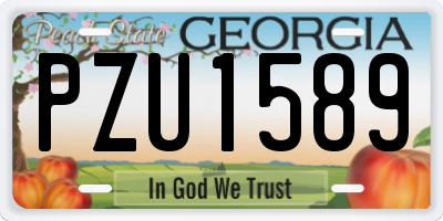 GA license plate PZU1589