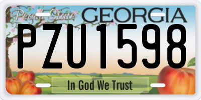 GA license plate PZU1598