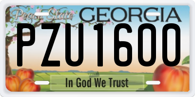 GA license plate PZU1600