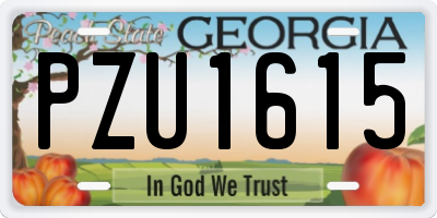 GA license plate PZU1615