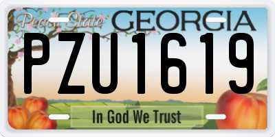 GA license plate PZU1619