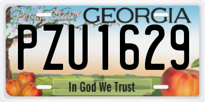 GA license plate PZU1629