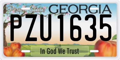 GA license plate PZU1635
