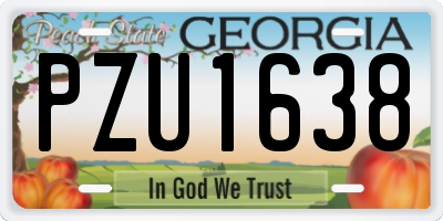 GA license plate PZU1638