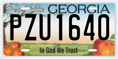 GA license plate PZU1640