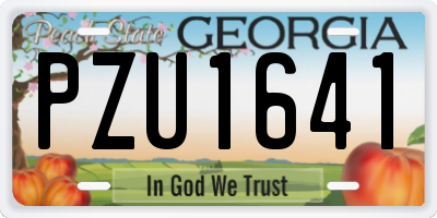 GA license plate PZU1641