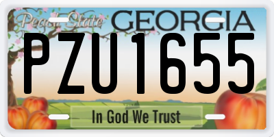 GA license plate PZU1655