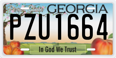 GA license plate PZU1664