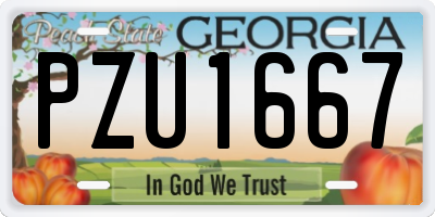GA license plate PZU1667