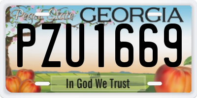 GA license plate PZU1669