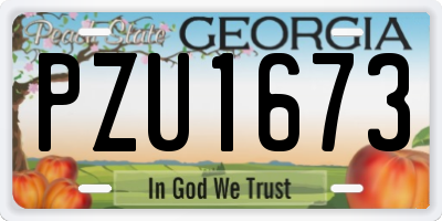 GA license plate PZU1673