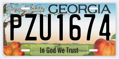 GA license plate PZU1674