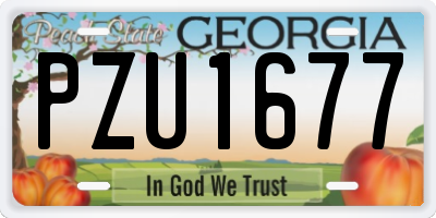GA license plate PZU1677