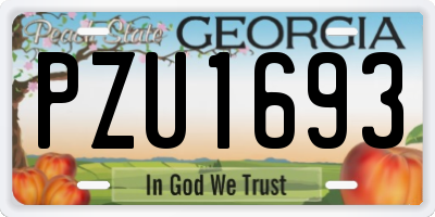GA license plate PZU1693