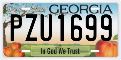 GA license plate PZU1699