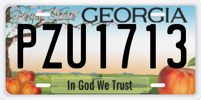 GA license plate PZU1713