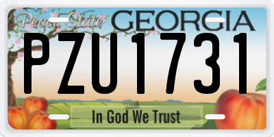 GA license plate PZU1731