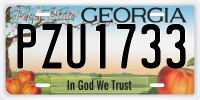 GA license plate PZU1733