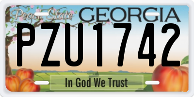 GA license plate PZU1742