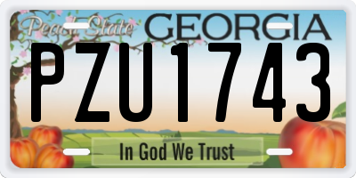 GA license plate PZU1743