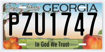 GA license plate PZU1747