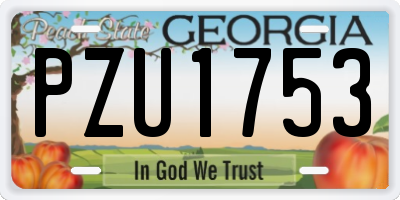 GA license plate PZU1753