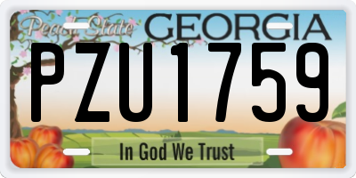 GA license plate PZU1759