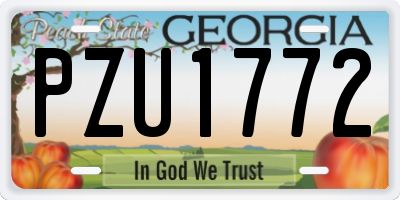 GA license plate PZU1772