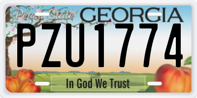 GA license plate PZU1774