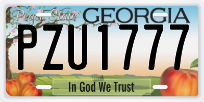 GA license plate PZU1777