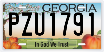 GA license plate PZU1791