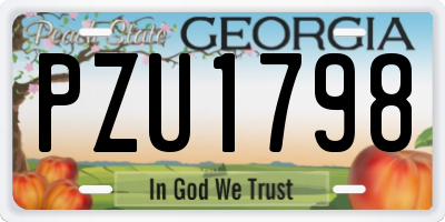 GA license plate PZU1798
