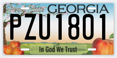 GA license plate PZU1801