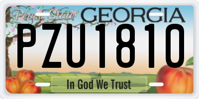 GA license plate PZU1810