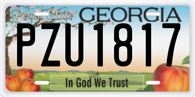 GA license plate PZU1817