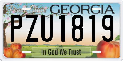 GA license plate PZU1819