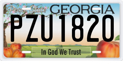 GA license plate PZU1820