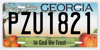 GA license plate PZU1821