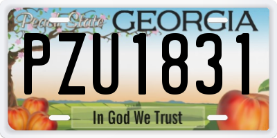 GA license plate PZU1831