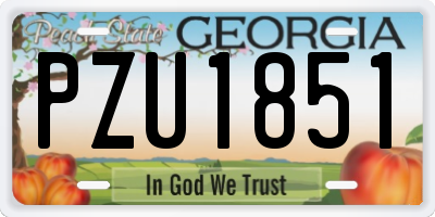 GA license plate PZU1851