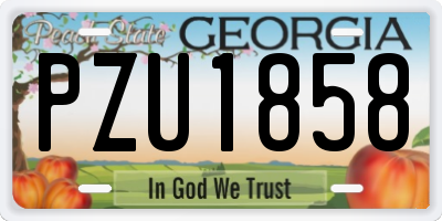 GA license plate PZU1858
