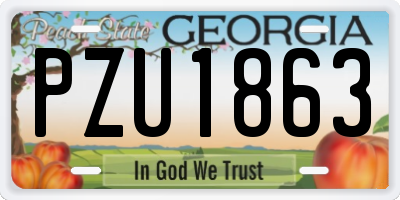 GA license plate PZU1863