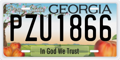 GA license plate PZU1866