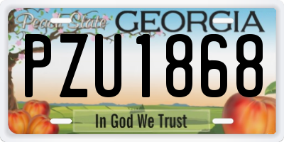 GA license plate PZU1868