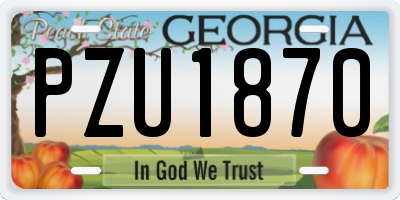 GA license plate PZU1870