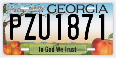 GA license plate PZU1871