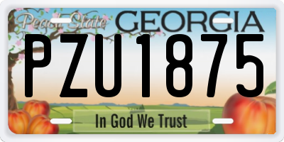GA license plate PZU1875