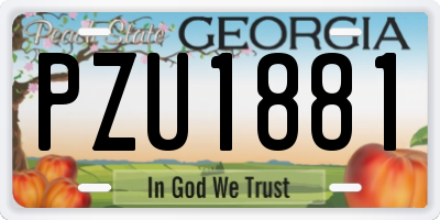 GA license plate PZU1881